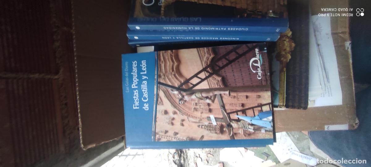 Libros de segunda mano: Fiestas populares en Castilla y Leon. Guias Duero