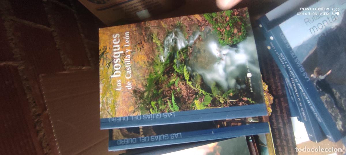 Libros de segunda mano: Gu&iacute;a Del Duero. Los Bosques de Castilla y Le&oacute;n.