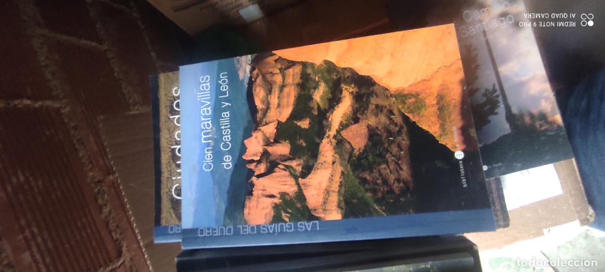 Libros de segunda mano: LAS GUIAS DEL DUERO CIEN MARAVILLAS DE CASTILLA Y LEON.