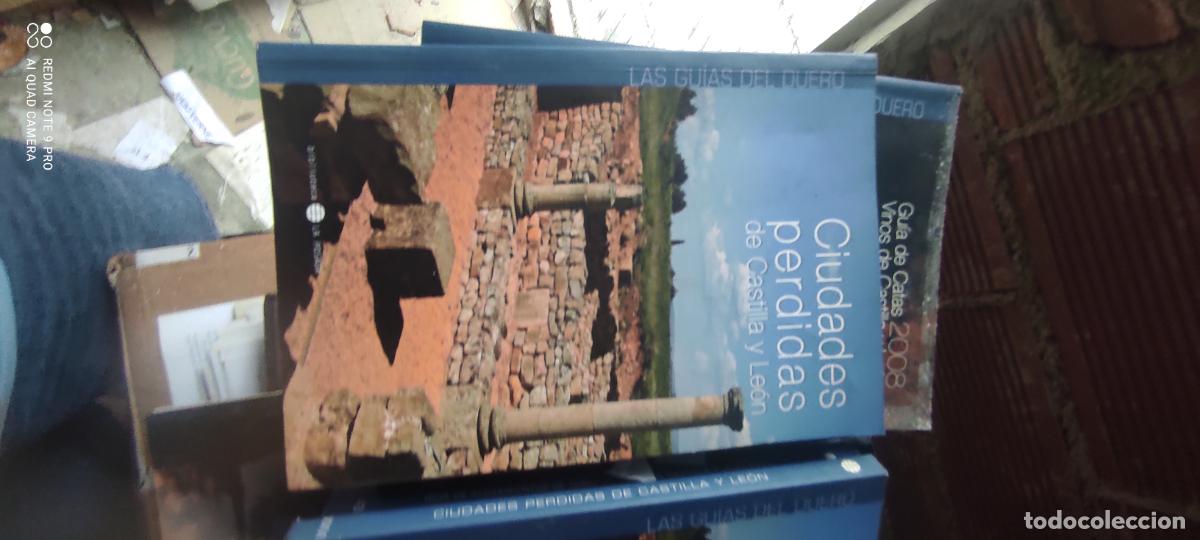 Libros de segunda mano: LAS GUIAS DEL DUERO,BIBLIOTECA LA POSADA,CIUDADES PERDIDAS DE CASTILLA Y LEON