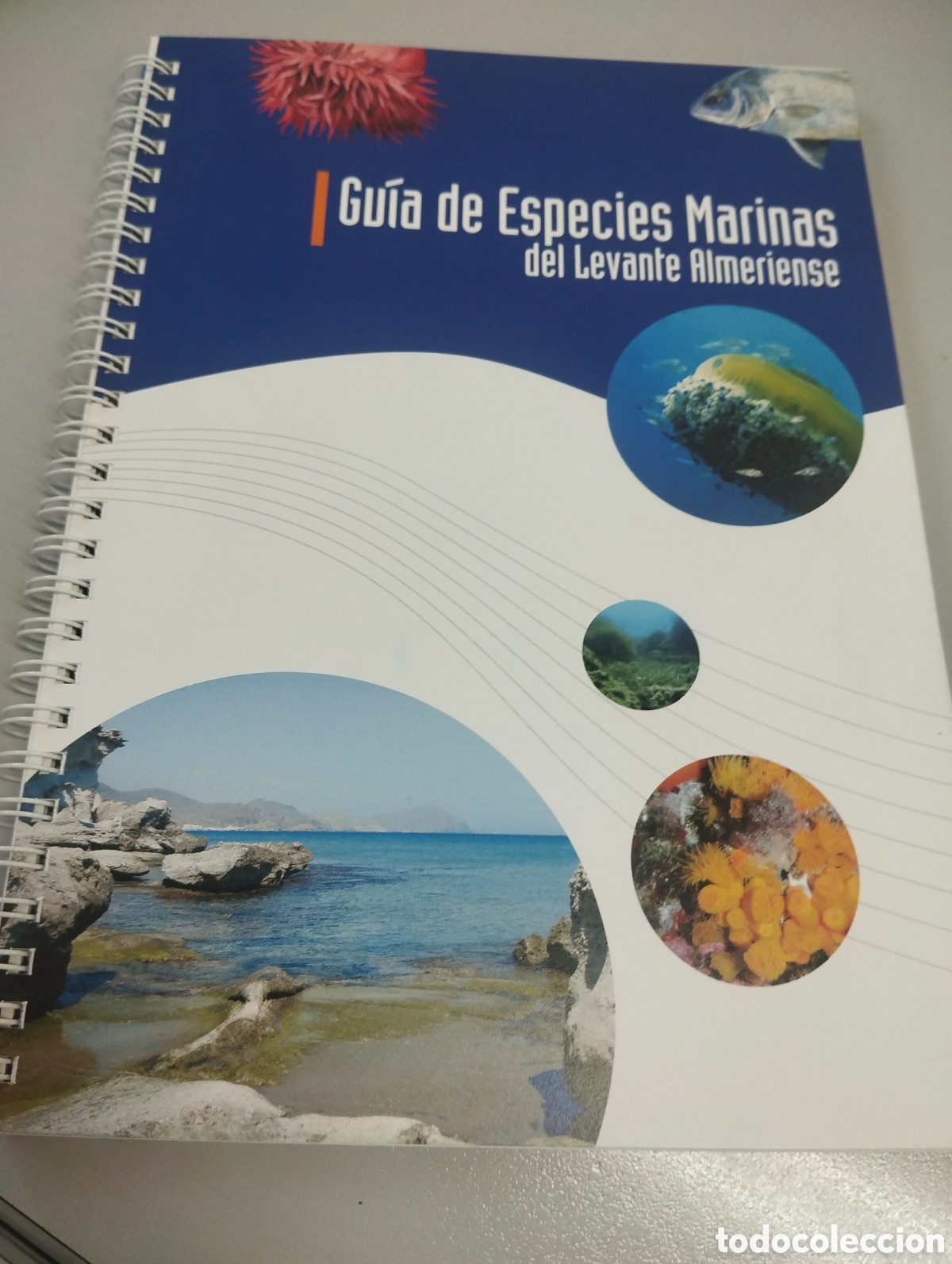 Libros de segunda mano: Guia de especies marinas del levante Almeriense