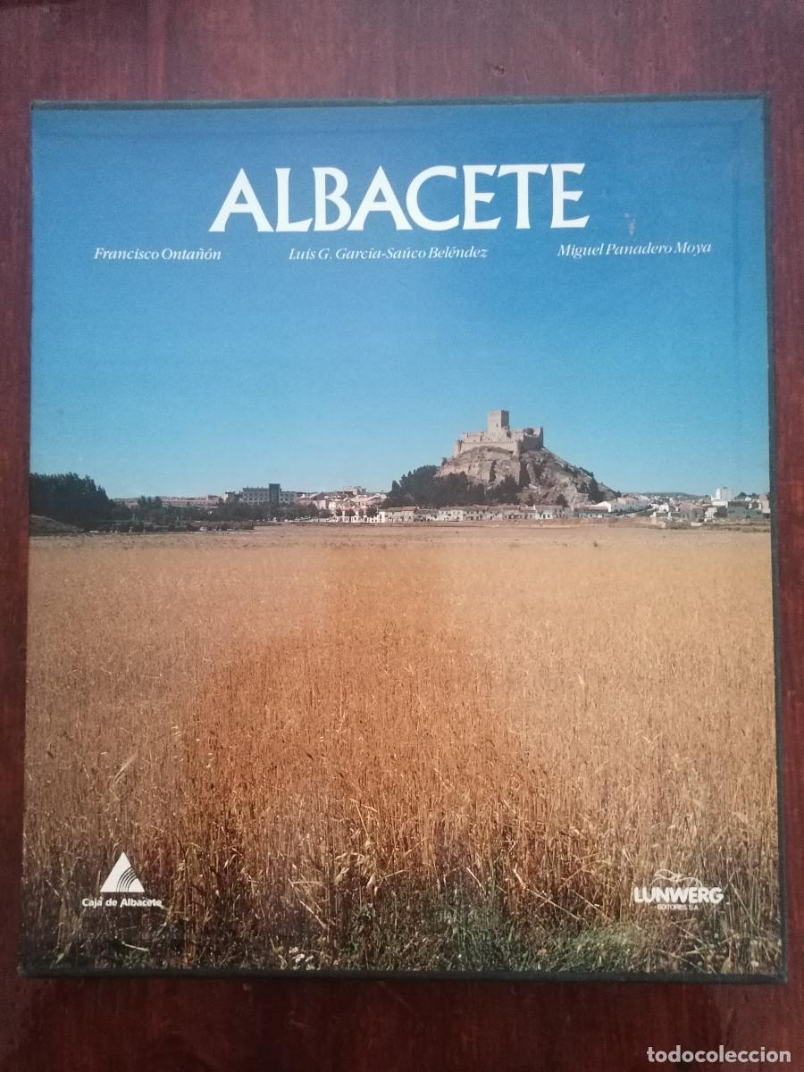 Libros de segunda mano: Albacete - Fotograf&iacute;as de F. Onta&ntilde;on y textos de L. Garc&iacute;a-Sauco y M. Panadero - Ed. Lunwerg