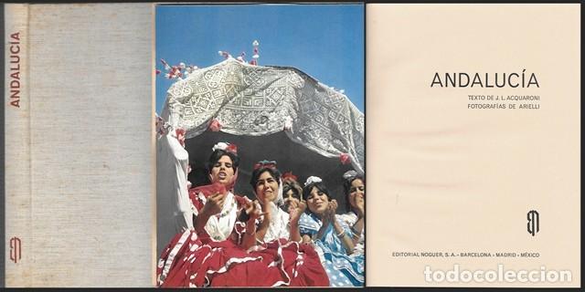 Libros de segunda mano: ANDALUCIA - COLECCI&Oacute;N BELVEDERE - ACQUARONI, J.L./ARIELLI - A-AN-603