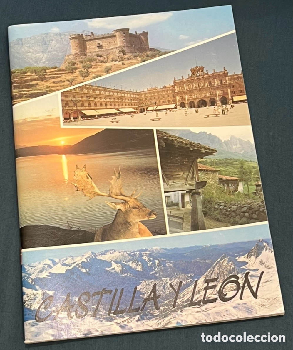 Libros de segunda mano: Libro. Castilla y Le&oacute;n, en todos los sentidos. Junta de Castilla y Le&oacute;n. 1992.