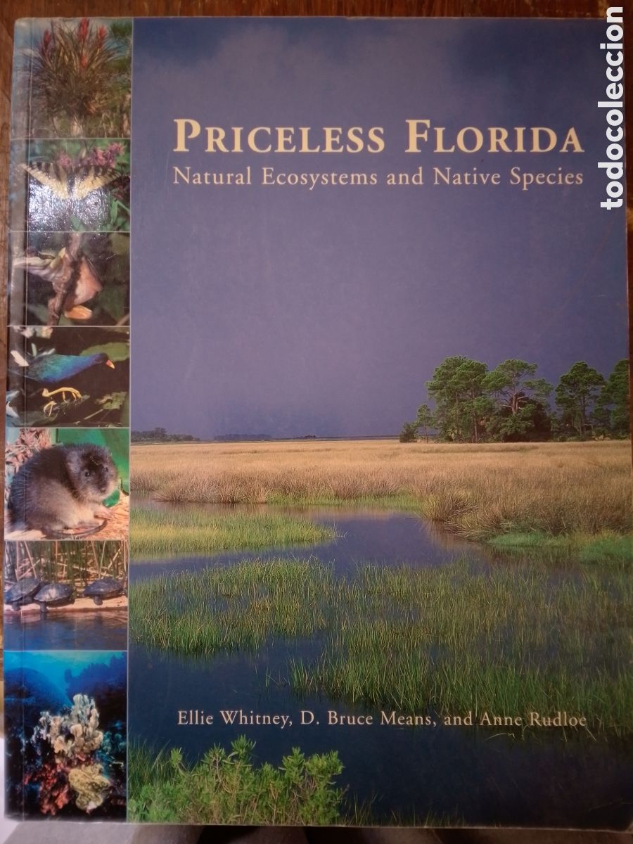 Libros de segunda mano: PRICELESS FLORIDA. NATURAL ECOSYSTEMS. WHITNEY, ELLIE. MEANS, D. BRUCE. PINEAPPLE PRESS. CHINA. 2004