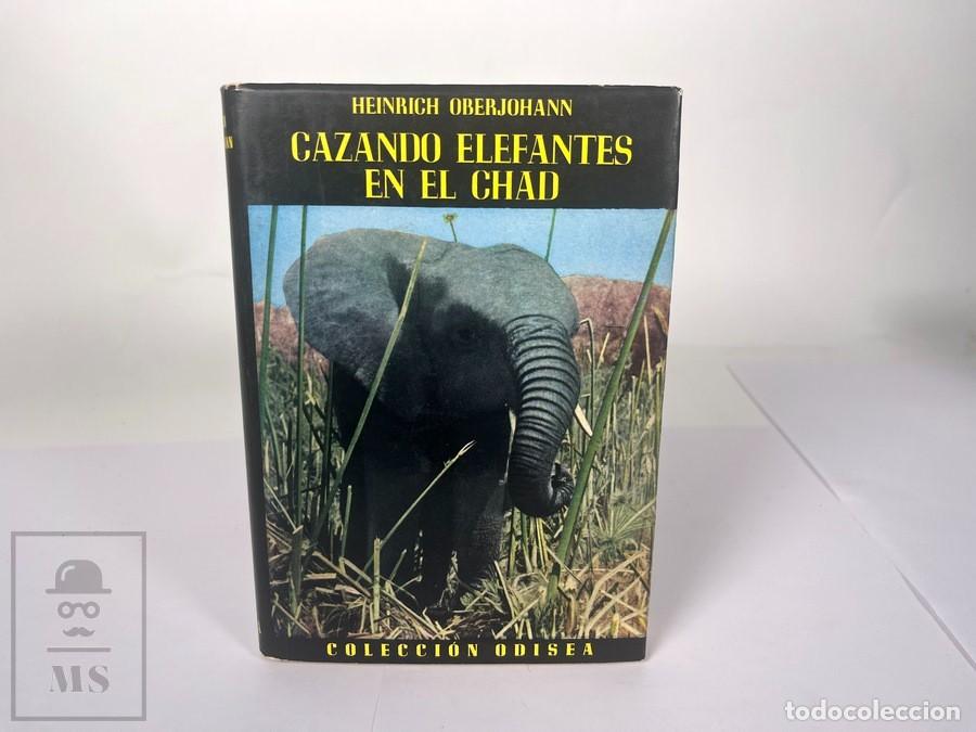 Libros de segunda mano: Libro - Cazando Elefantes en el Chad - Heinrich Oberjohann - Colecci&oacute;n Odisea - Ed. Aym&aacute; 1958