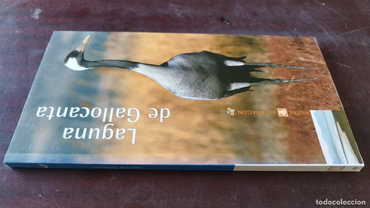 Libros de segunda mano: LAGUNA DE GALLOCANTA / ARAGON / CJA 600 / CAI PRAMES