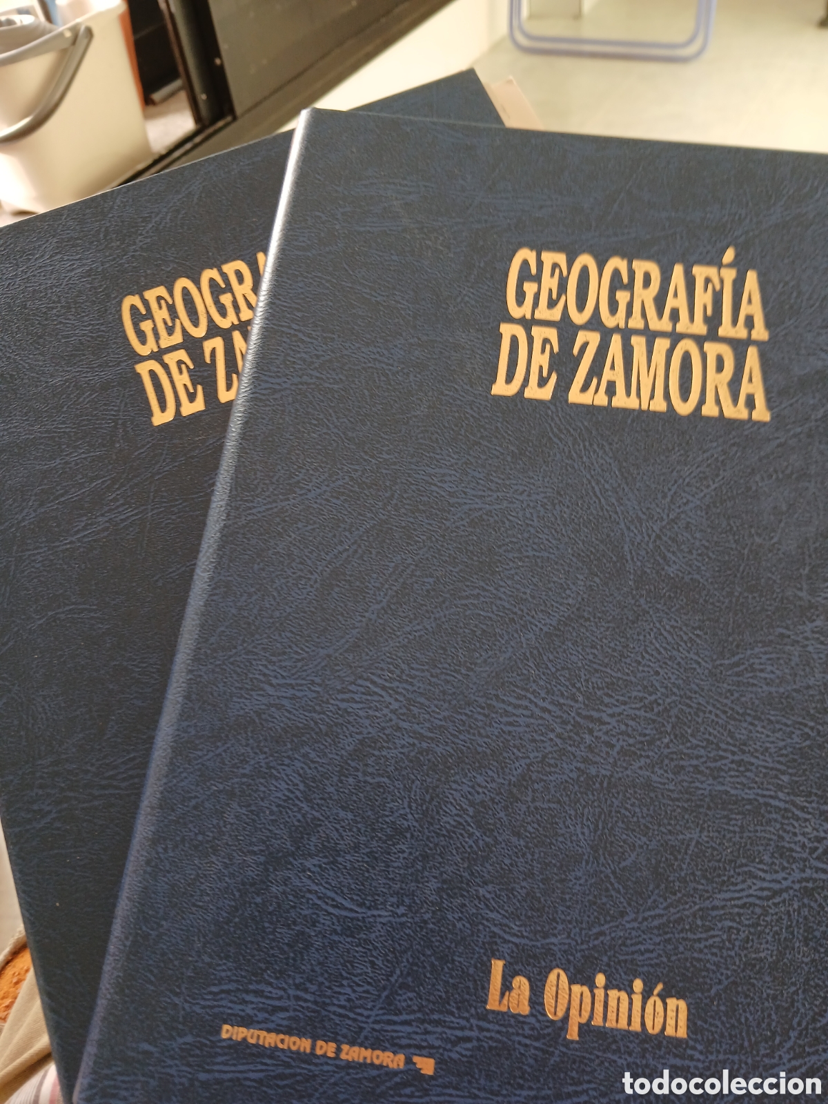 Libros de segunda mano: Geogr&aacute;fica de Zamora, dos tomos, La Opini&oacute;n de Zamora
