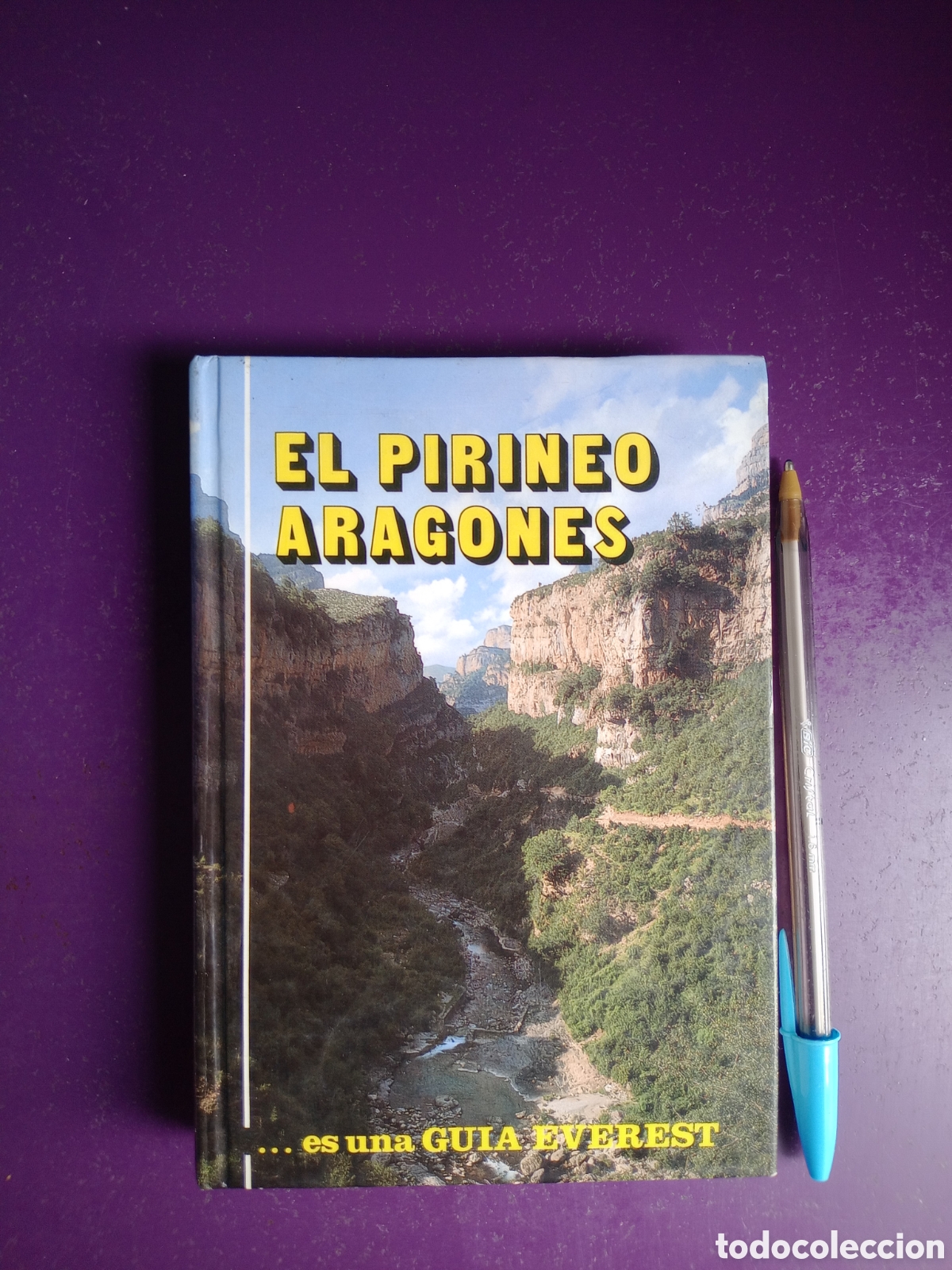 Libros de segunda mano: EL PIRINEO ARAGONES - SANTIAGO ROTO APARICIO, EDIT EVEREST 1991 - TAPA DURA, MAPAS, FOTOS, 443 PAGS