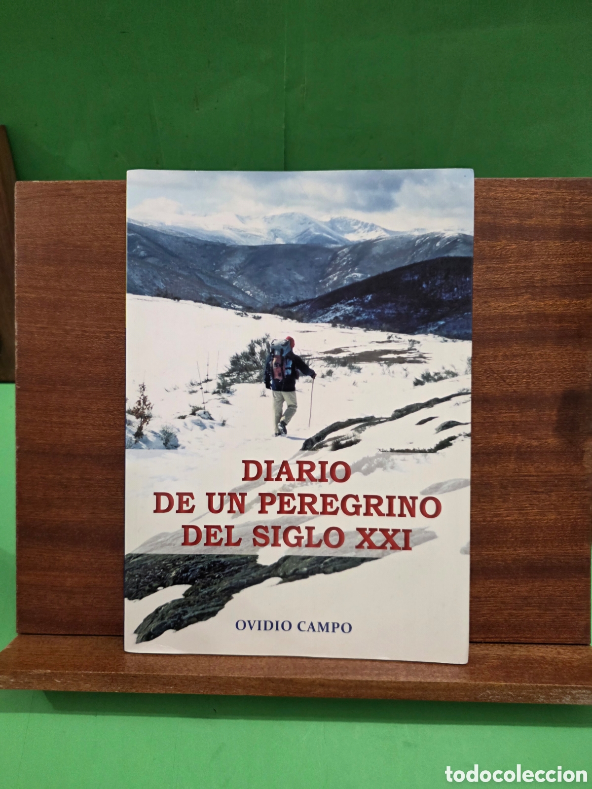 Libros de segunda mano: &rdquo;&rdquo;DIARIO DE UN PEREGRINO DEL SIGLO XXI&rdquo;&rdquo;...OVIDIO CAMPO...BURGOS...2016..