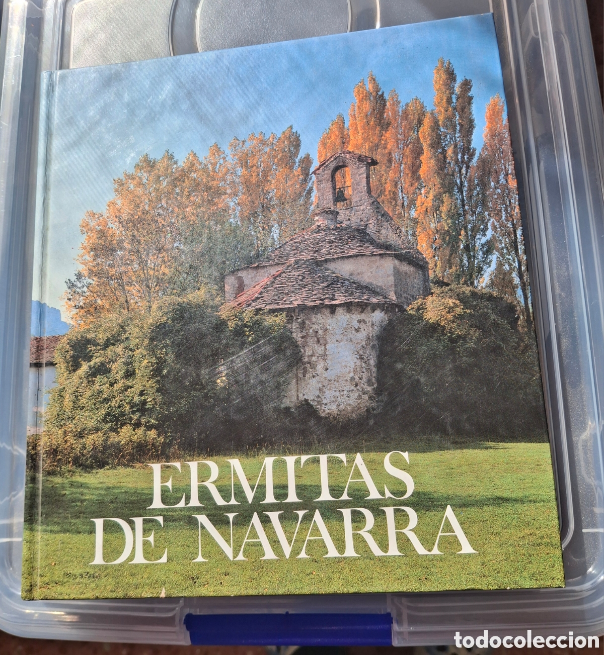 Libros de segunda mano: ERMITAS DE NAVARRA, FERNANDO P&Eacute;REZ OLLO