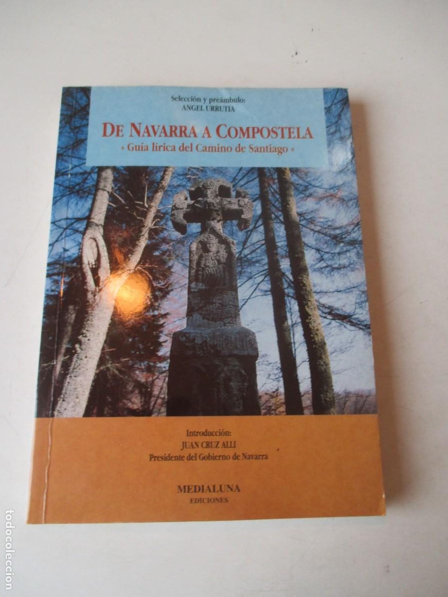 Libri di seconda mano: &Aacute;NGEL URRUTIA De Navarra a Compostela. Gu&iacute;a l&iacute;rica del camino de Santiago W42578