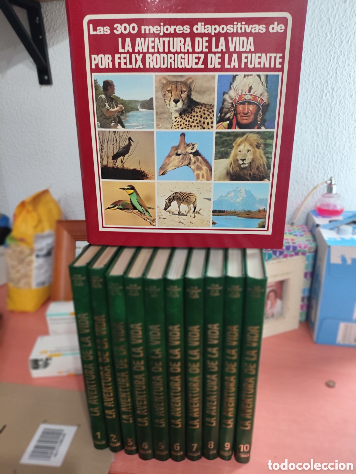 Libri di seconda mano: Enciclopedia y dispositivas Felix Rodr&iacute;guez de la Fuente