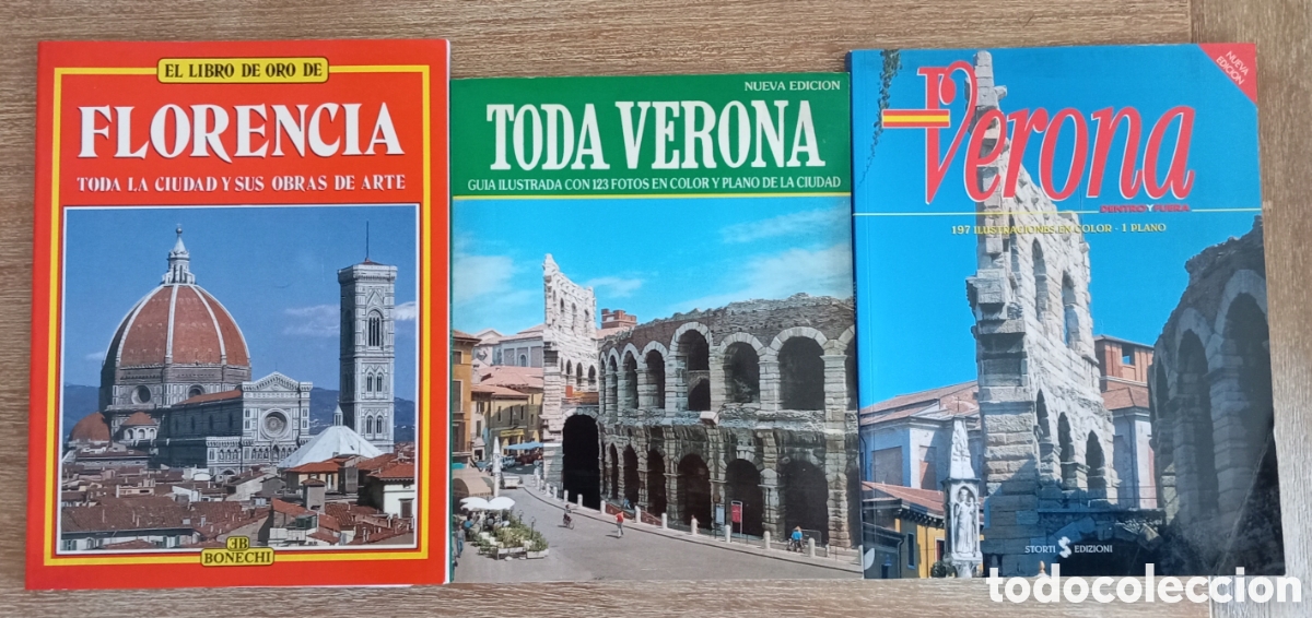 Libros de segunda mano: GUIAS DE FLORENCIA Y VERONA ILUSTRADAS