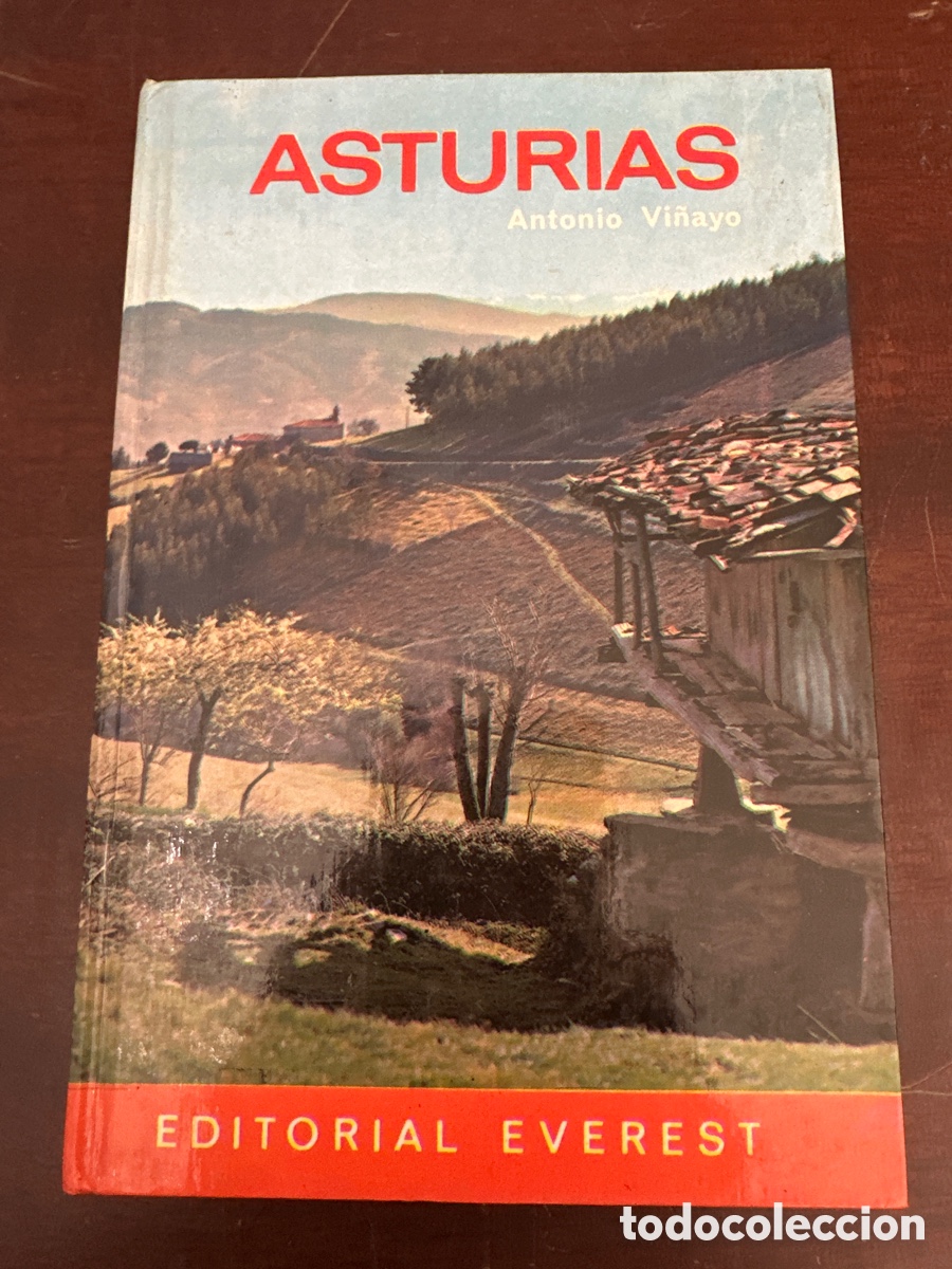 Libros de segunda mano: ASTURIAS. ANTONIO VI&Ntilde;AYO. EDITORIAL EVEREST. LEON, 1976. PAGS: 181