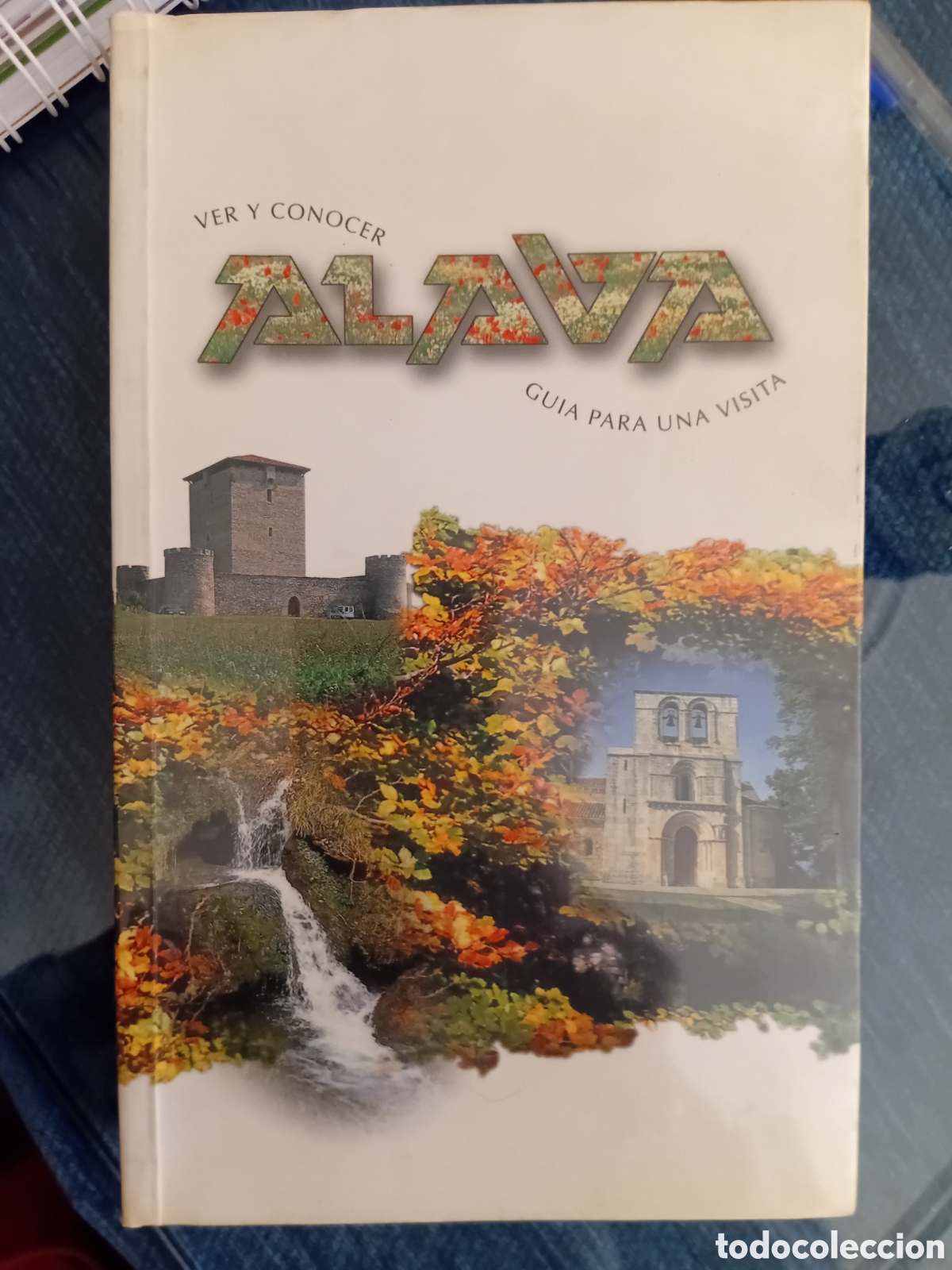 Libros de segunda mano: VER Y CONOCER ALAVA. Guia para una visita