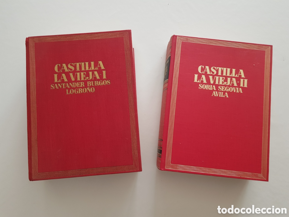 Libros de segunda mano: Castilla la vieja. Dos tomos. Dionisio rudriejo