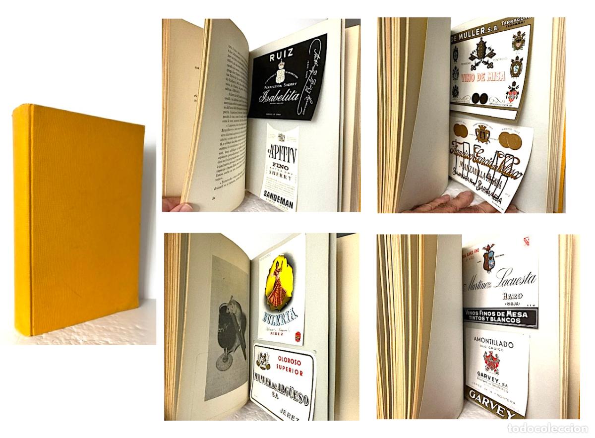 Libros de segunda mano: I Vini di Spagna (Vinos de Espa&ntilde;a. Andaluc&iacute;a. Etiquetas montadas