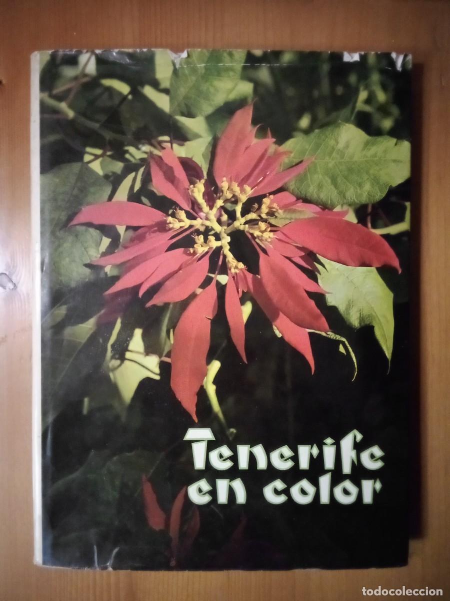 Libros de segunda mano: TENERIFE EN COLOR, 1963