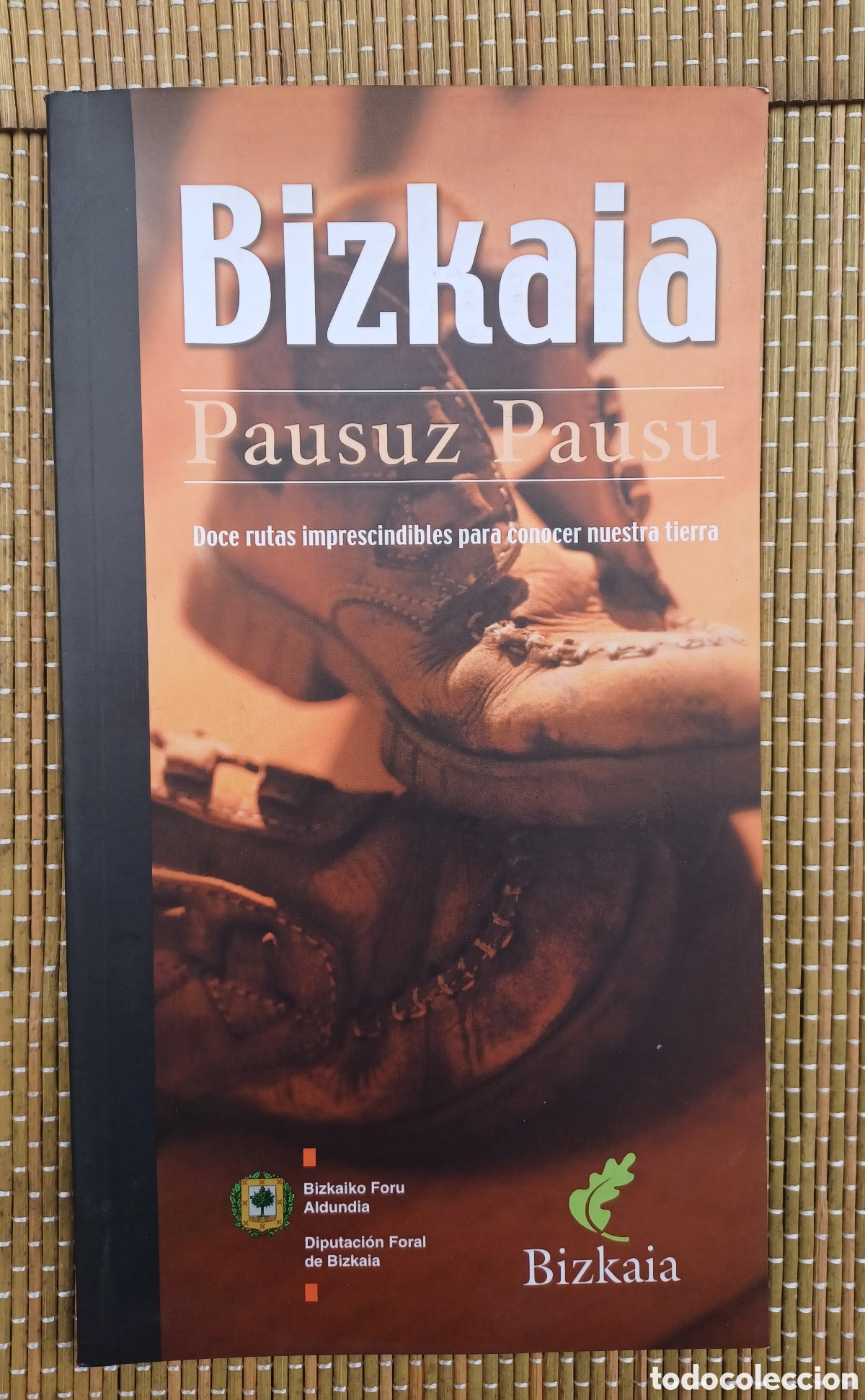 Libros de segunda mano: BIZKAIA. PAUSUZ PAUSU. DOCE RUTAS IMPRESCINDIBLES PARA CONOCER NUESTRA TIERRA - EUSKERA /CASTELLANO