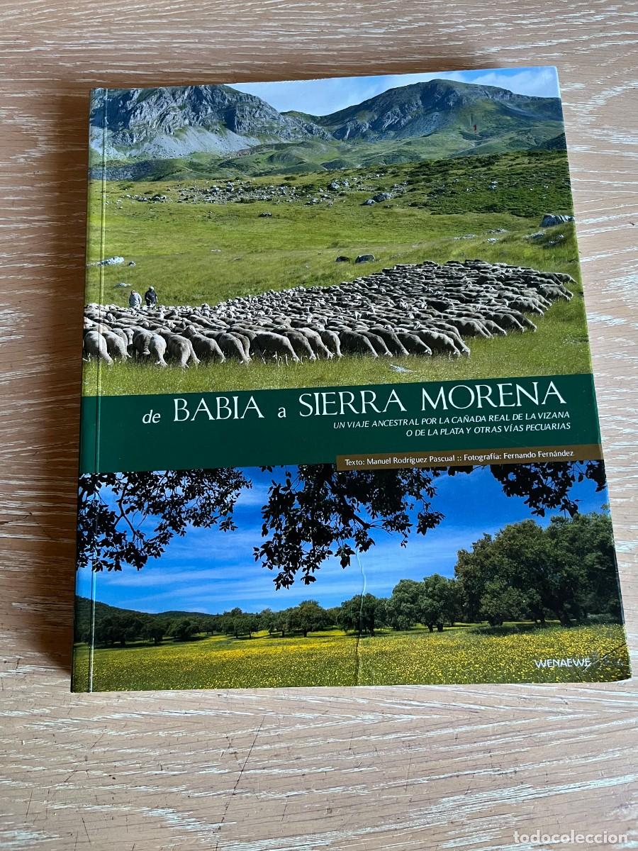 Libros de segunda mano: DE BABIA A SIERRA MORENA. Manuel Rodr&iacute;guez Pascual