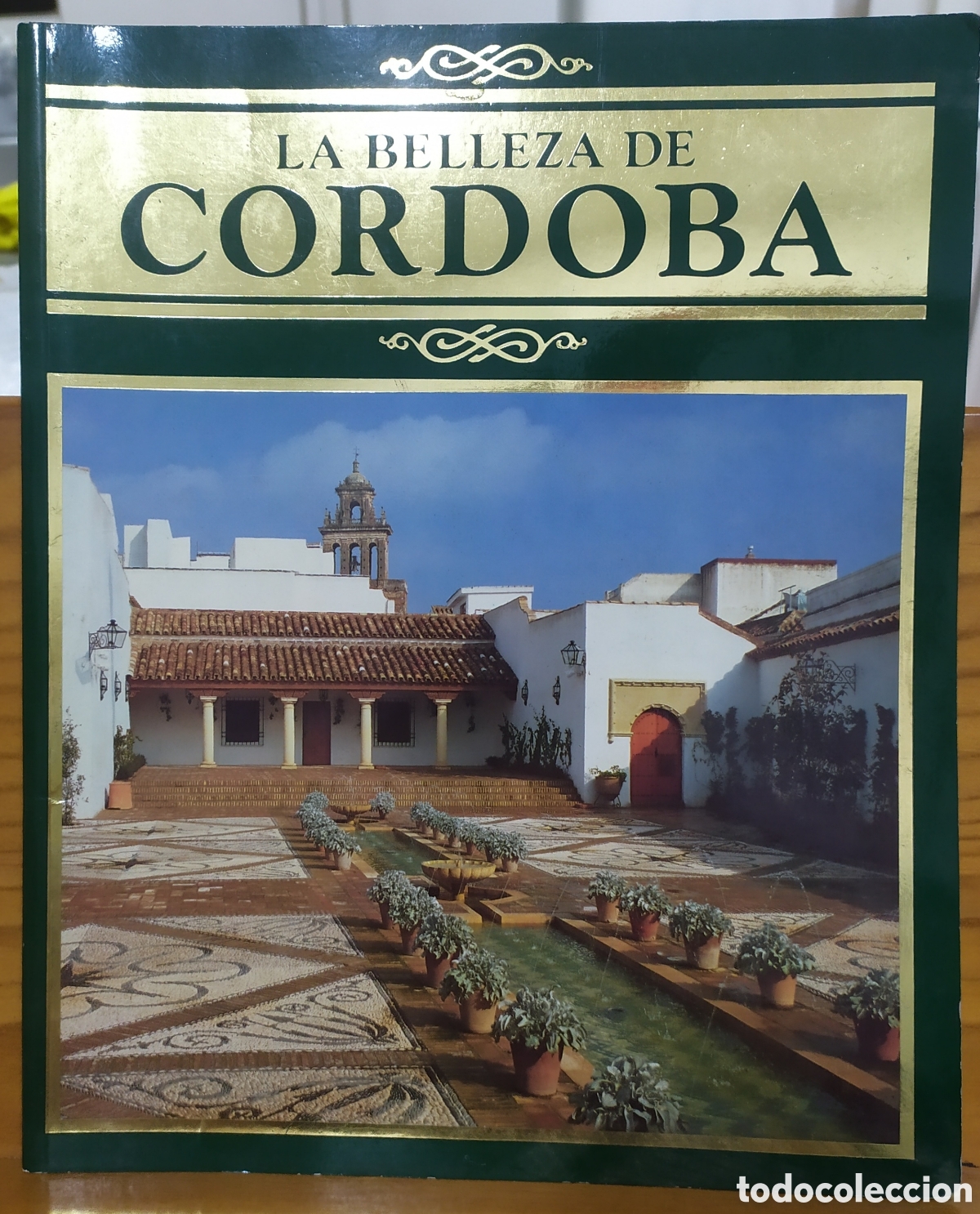 Libros de segunda mano: La Belleza De Cordoba - SALCINES Manuel de Ediciones Noria de 1990.