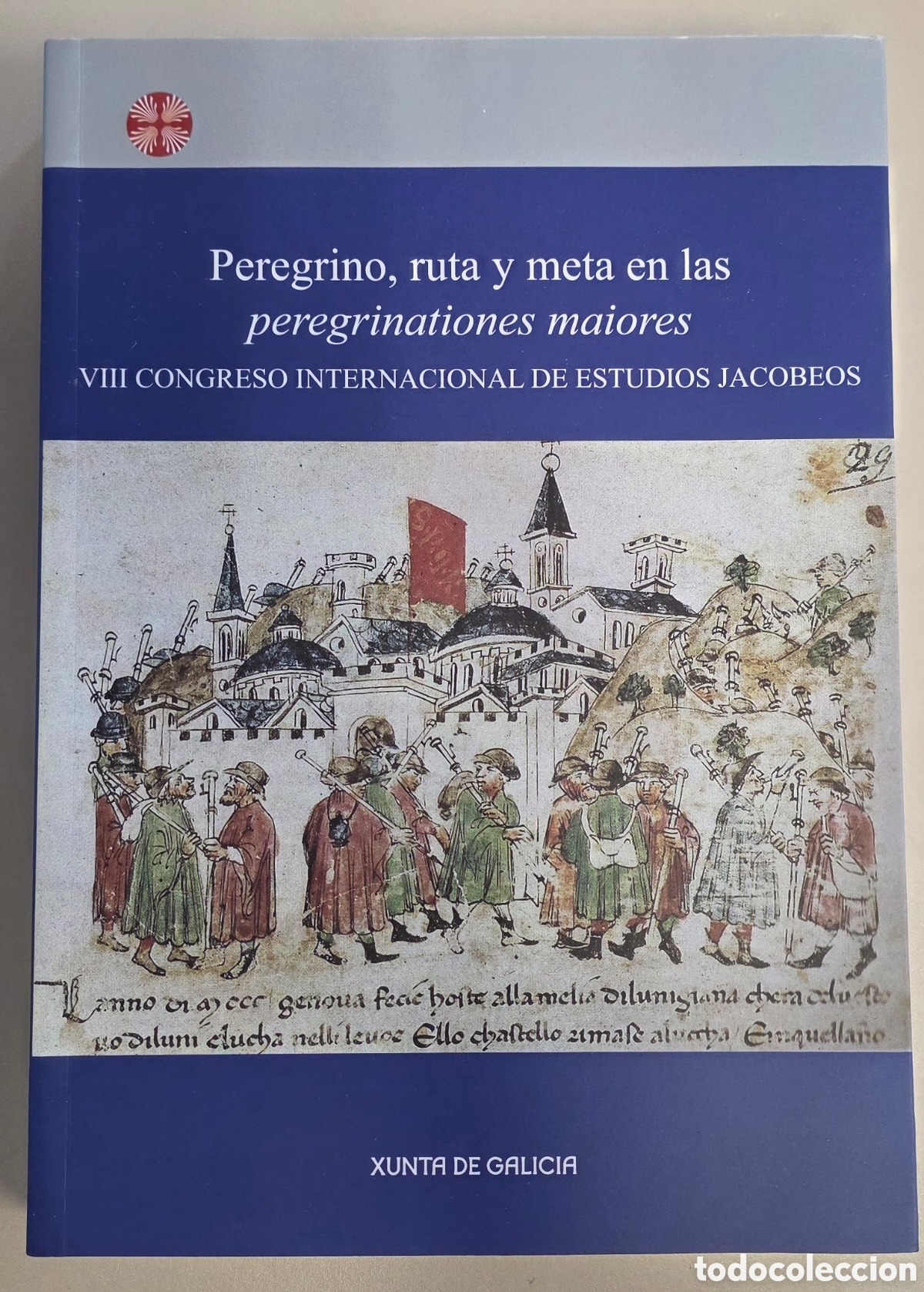 Libros de segunda mano: PEREGRINO, RUTA Y META EN LAS PEREGRINACIONES MAYORES
