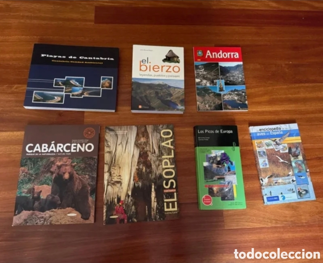 Libros de segunda mano: Lote libros turismo viajes
