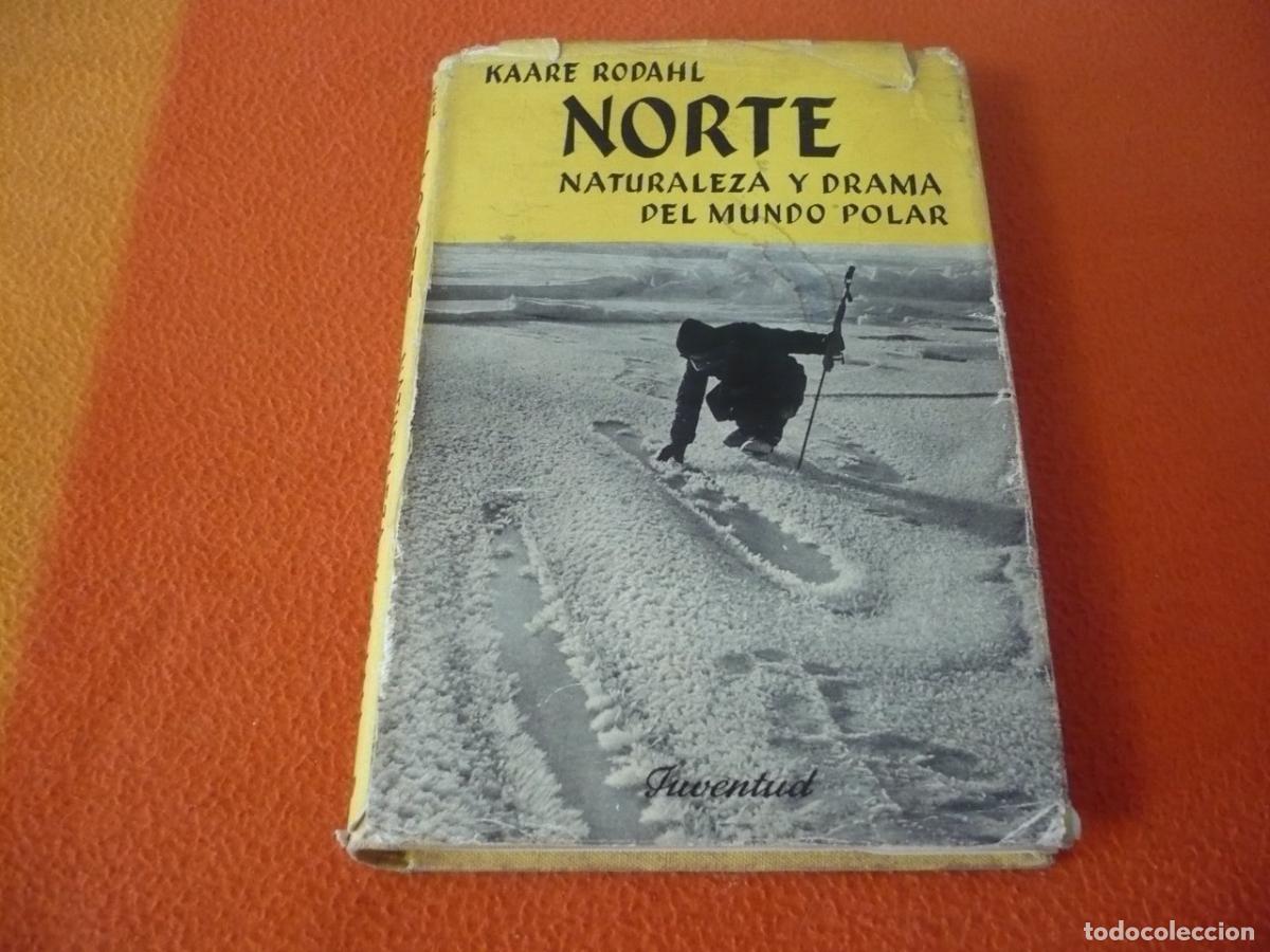 Libros de segunda mano: NORTE NATURALEZA Y DRAMA DEL MUNDO POLAR (RODAHL) JUVENTUD ARTICO GROENLANDIA ALASKA EXPLORACION