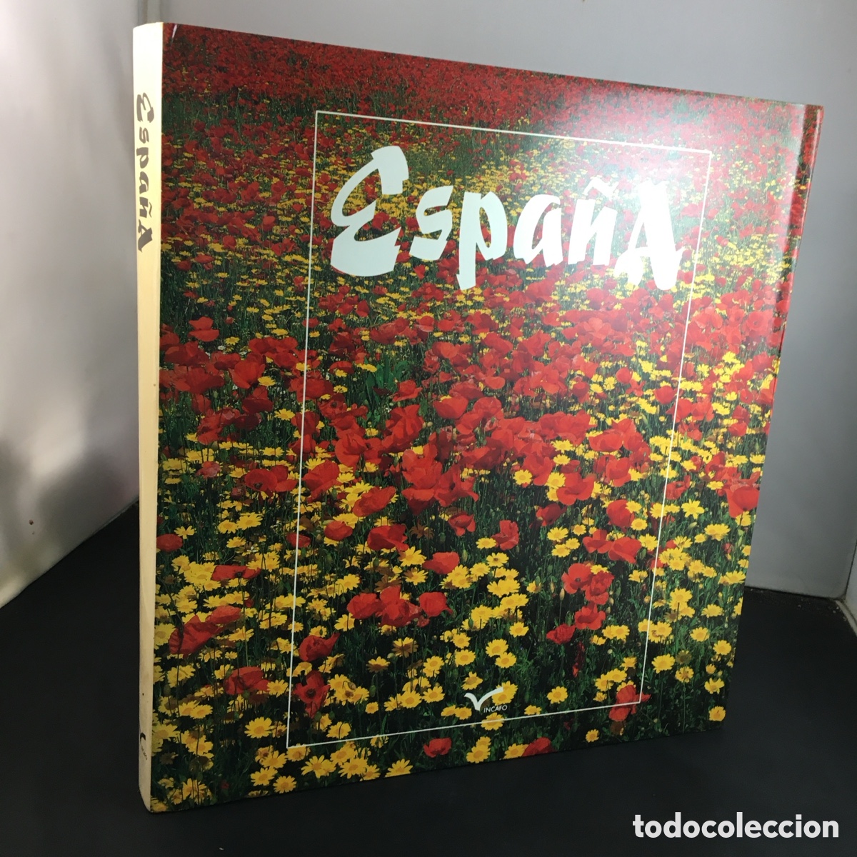 Libros de segunda mano: Espa&ntilde;a. Incafo. Fotografia