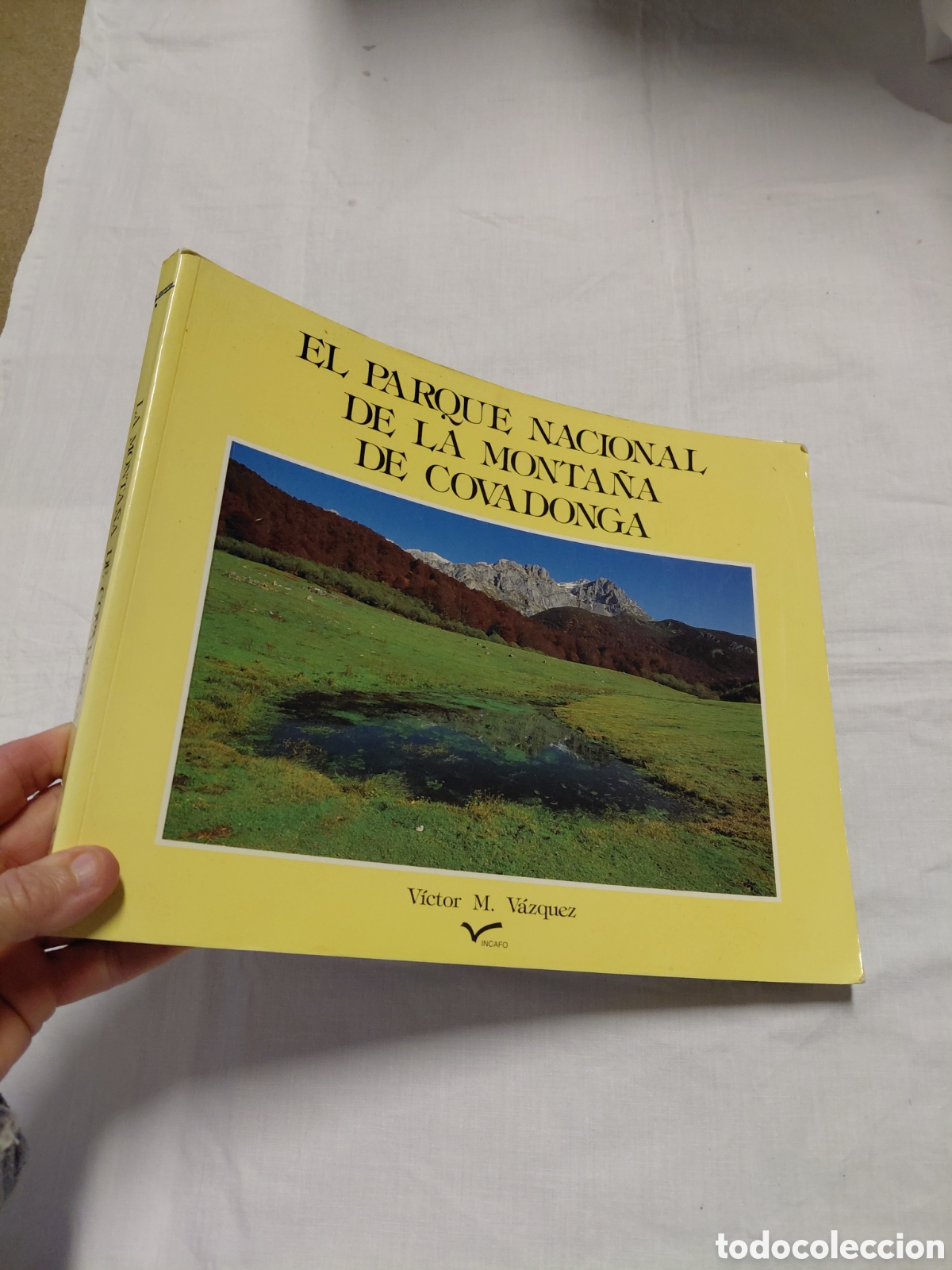 Libros de segunda mano: EL PARQUE NACIONAL DE COVADONGA.VICTOR M.VAZQUEZ.INCAFO 1993