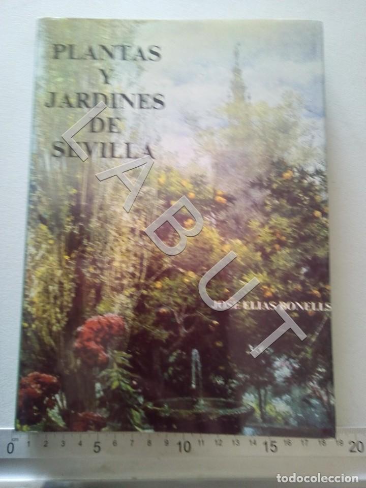 Gebrauchte B&uuml;cher: PLANTAS Y JARDINES DE SEVILLA JOSE ELIAS CM9