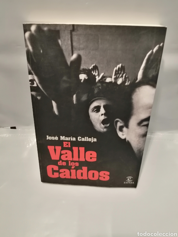 Libros de segunda mano: EL VALLE DE LOS CA&Iacute;DOS (PRIMERA EDICI&Oacute;N) - Foto 1