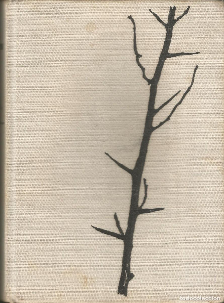 Gebrauchte B&uuml;cher: ESPA&Ntilde;A,ESPA&Ntilde;A...ARTHUR G.LONDON. EDITORIAL ARTIA. 1965. GUERRA CIVIL