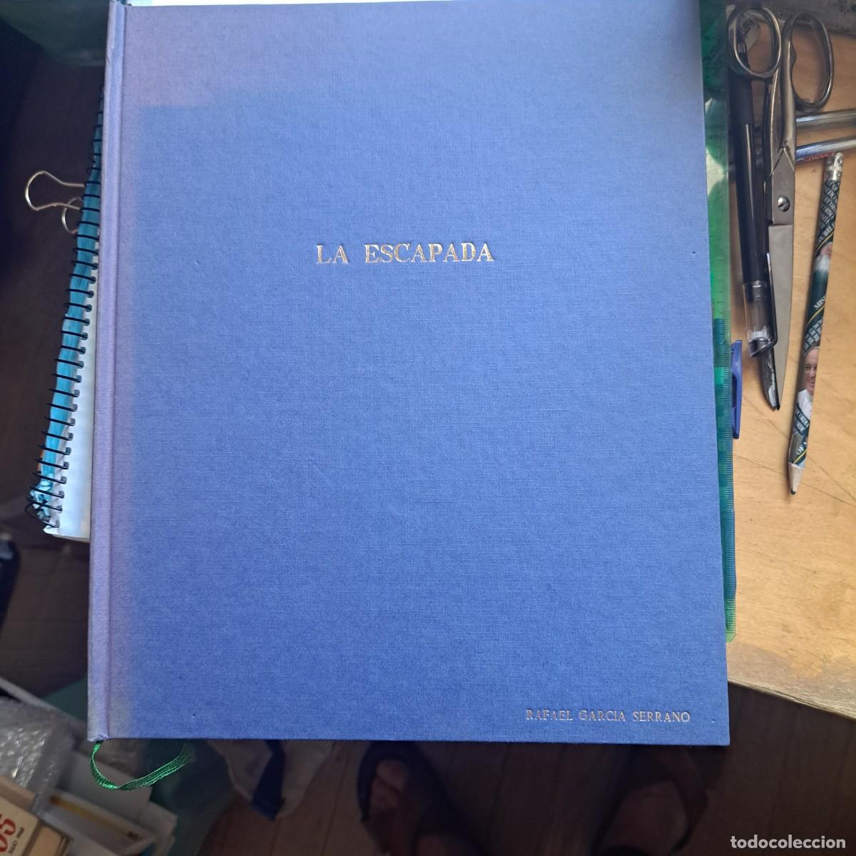 Libros de segunda mano: LA ESCAPADA, RAFAEL GARC&Iacute;A SERRANO, Env&iacute;o gratis - Foto 1