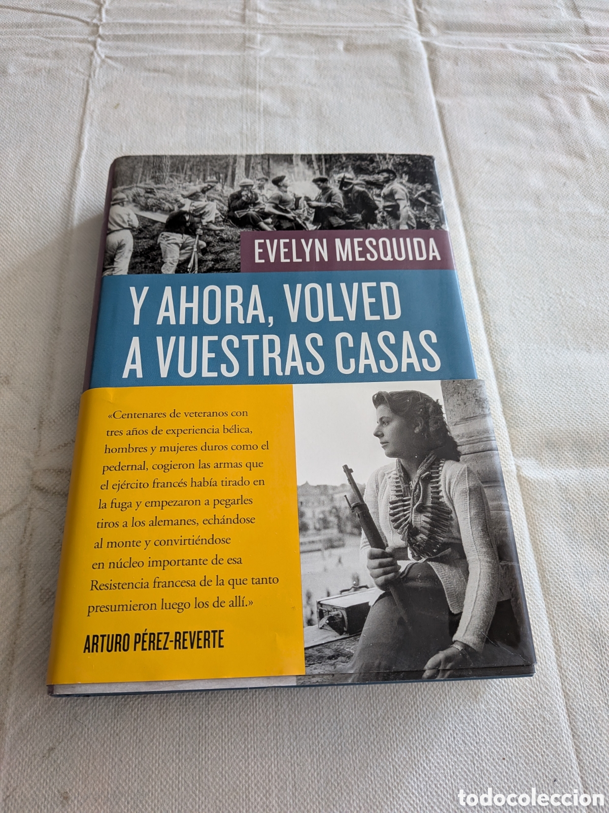 Libros de segunda mano: Y ahora, volved a vuestras casas. Republicanos espa&ntilde;oles en la resistencia francesa -Evelyn Mesquida