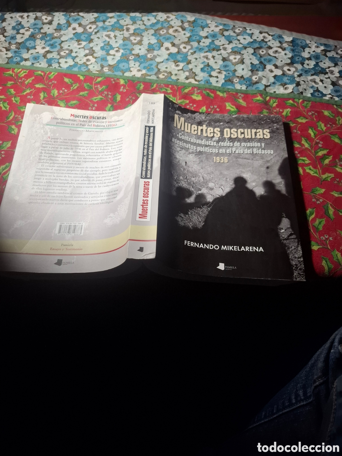 Libros de segunda mano: Muertes Oscuras en el Pa&iacute;s De Bidasoa, 1936. Fernando Mikelarena