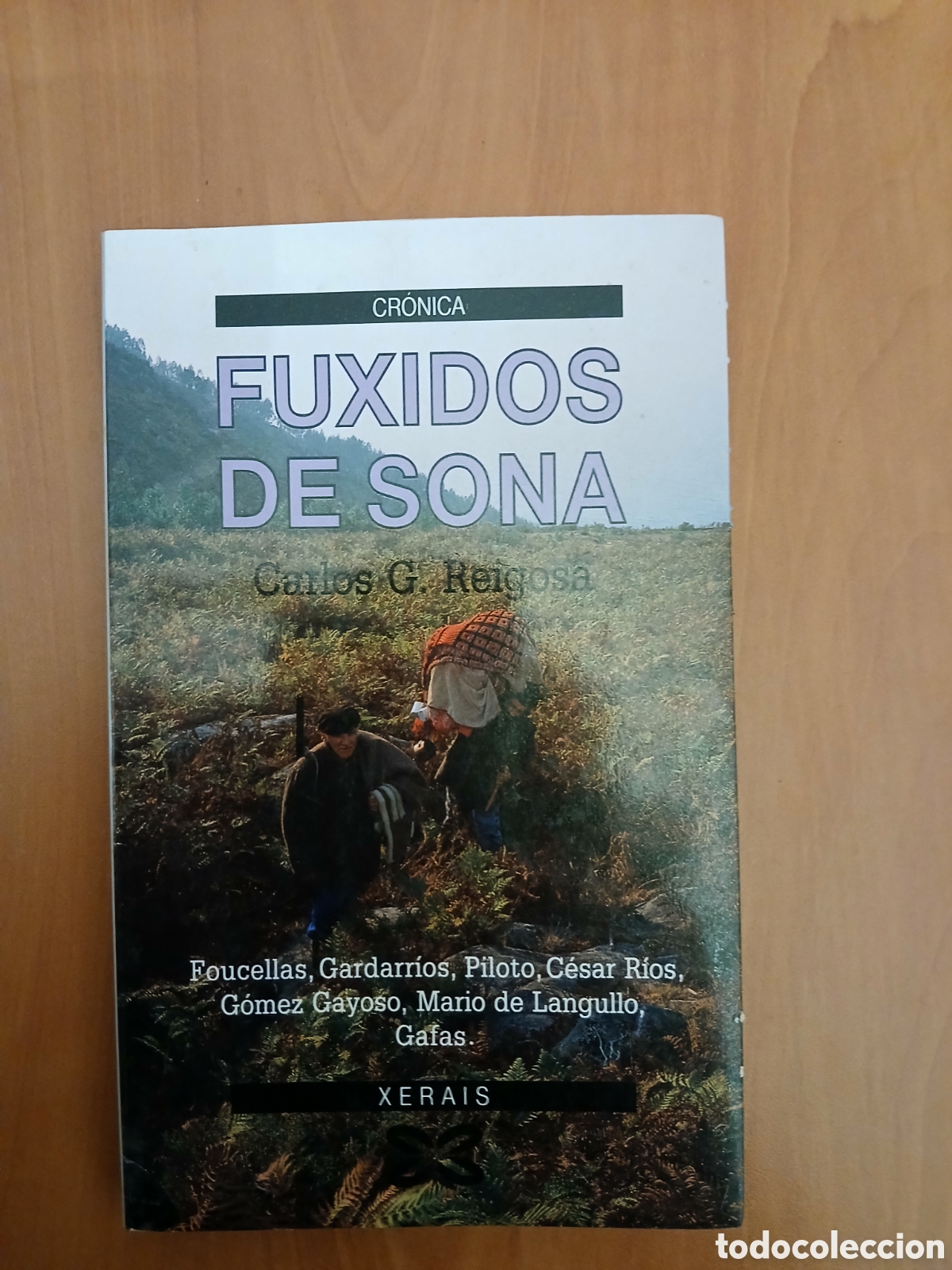 Libros de segunda mano: Fuxidos de sona. Carlos G. Reigosa. GALICIA.