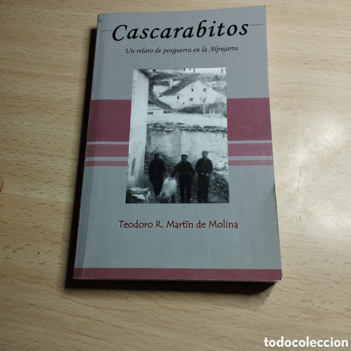 Gebrauchte B&uuml;cher: Cascarabitos. Un relato de posguerra en la Alpujarra. Teodoro R. Mart&iacute;n de Molina. 2006. 1&ordf; Edici&oacute;n