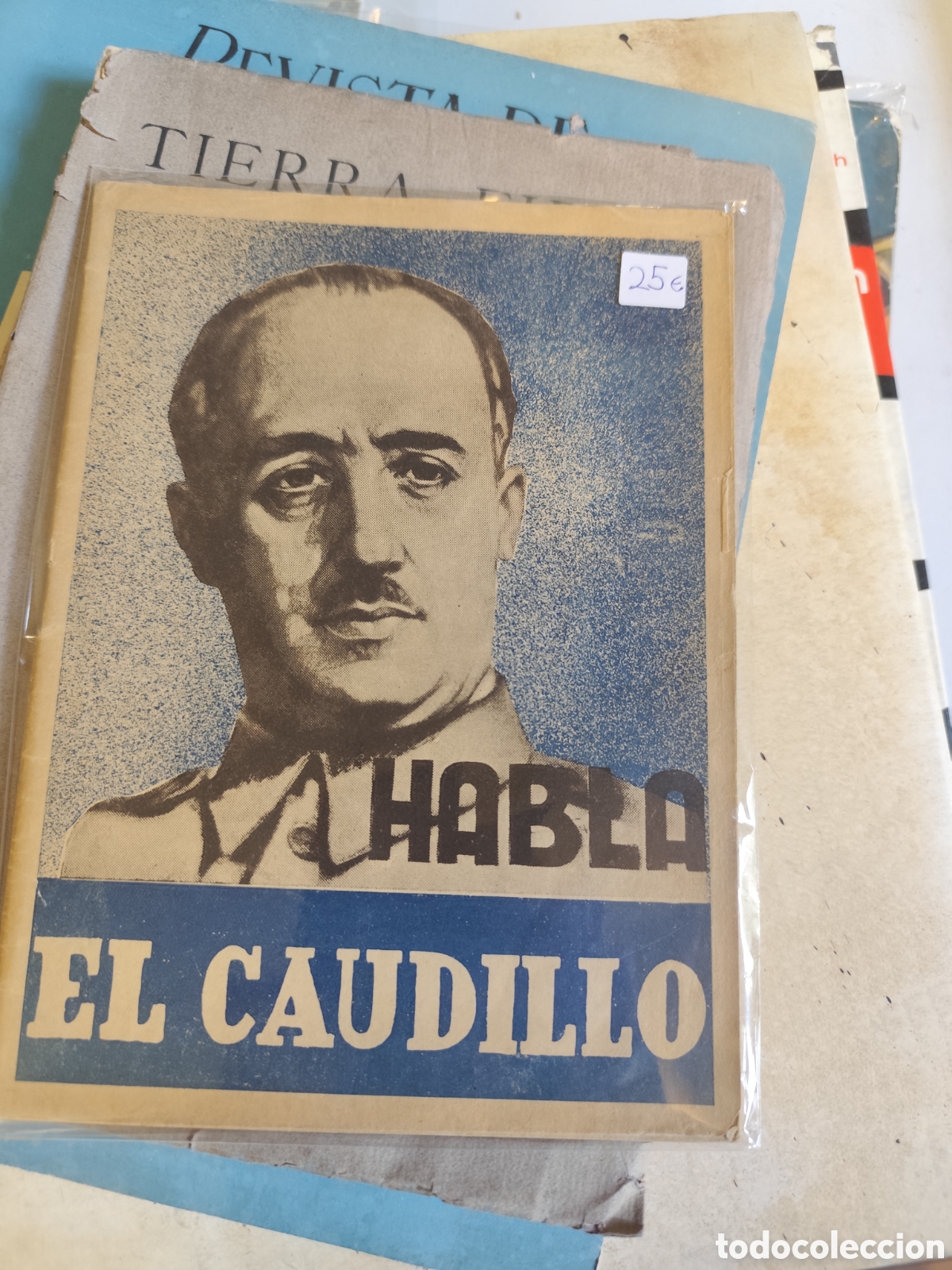 Libros de segunda mano: Habla el Caudillo. Servicio Nacional de Propaganda. Burgos II A&ntilde;o Triunfal