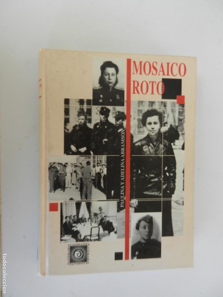 Libros de segunda mano: MOSAICO ROTO - PAULINA Y ADELINA ABRAMSON - COMPA&Ntilde;IA LITERARIA 1994 -