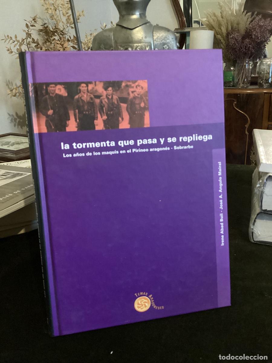 Libros de segunda mano: La tormenta que pasa y se repliega. - Abad Buil, Irene; Angulo Mairal, Jos&eacute; Antonio
