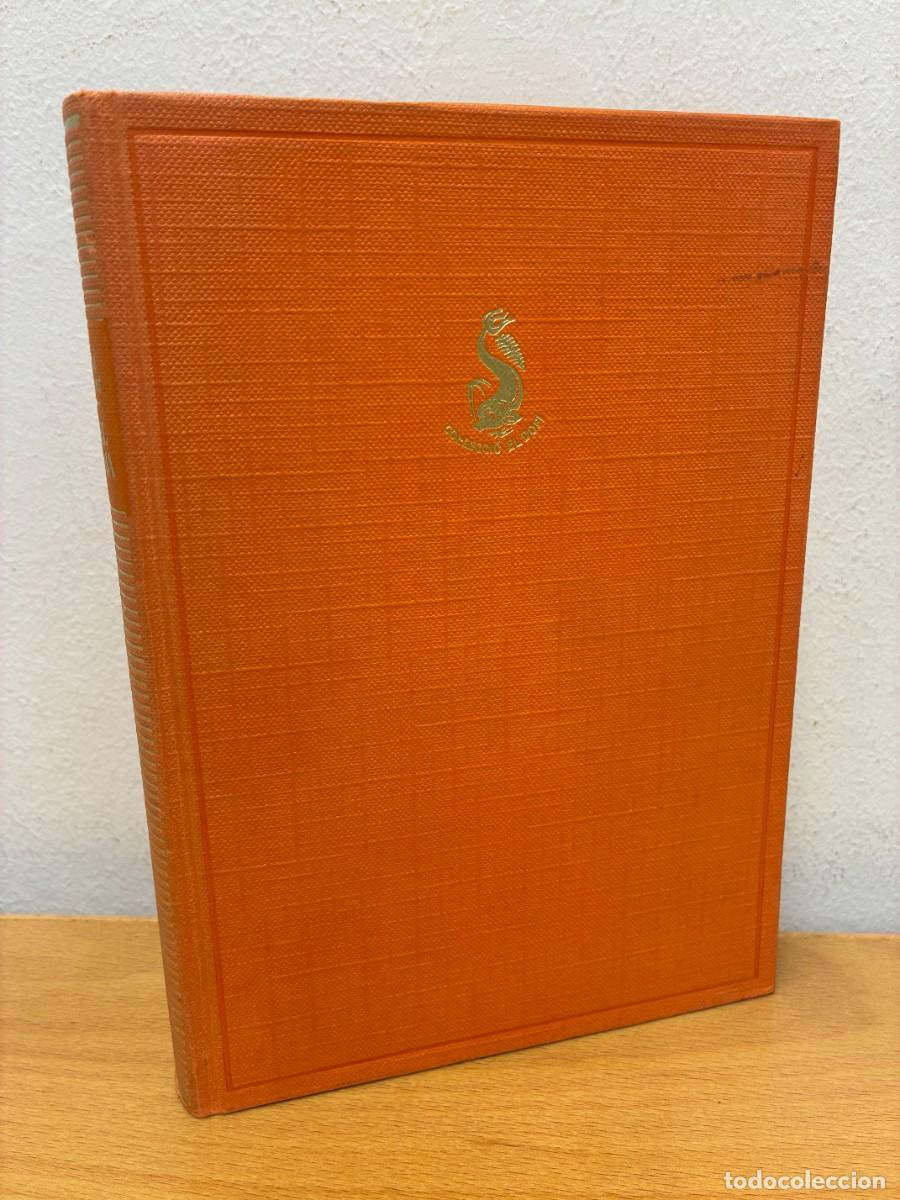 Libros de segunda mano: MARI&Agrave; MANENT. EL VEL DE MAIA. PRIMERA EDICI&Oacute;, MAR&Ccedil; DE 1975. EDICIONS DESTINO, BARCELONA.