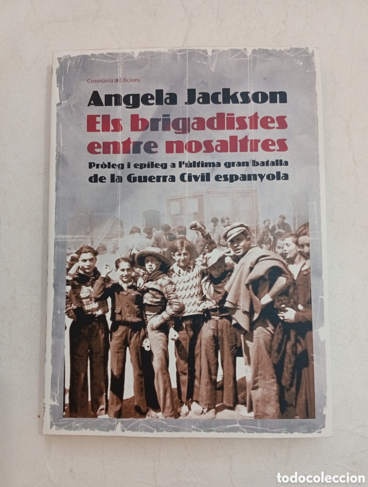 Libros de segunda mano: Els brigadistes entre nosaltres pr&ograve;leg i ep&iacute;leg a l'&uacute;ltima batalla de la guerra civil