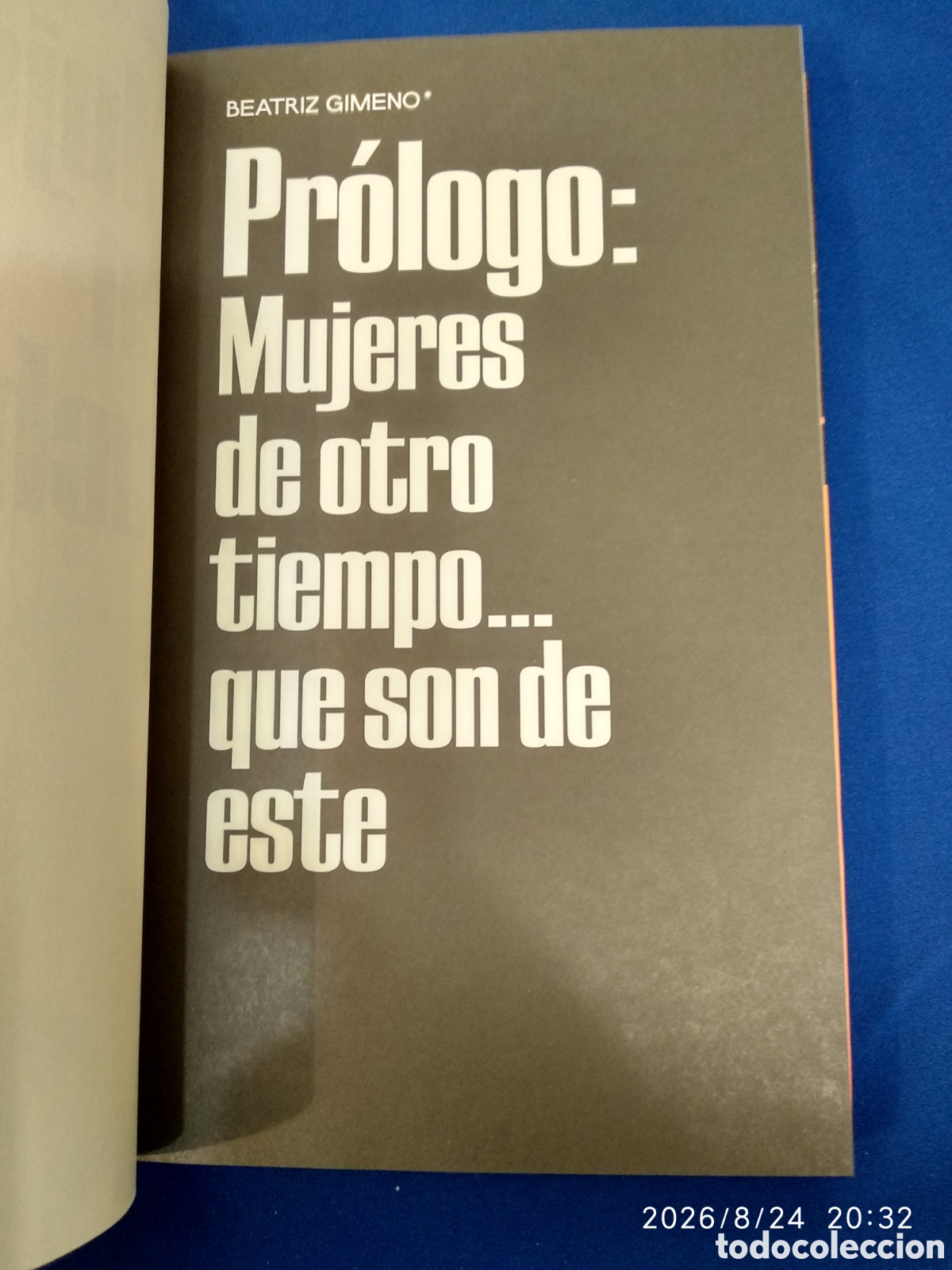 Libros de segunda mano: Mujeres en lucha (Isabella Lorusso) - Foto 10