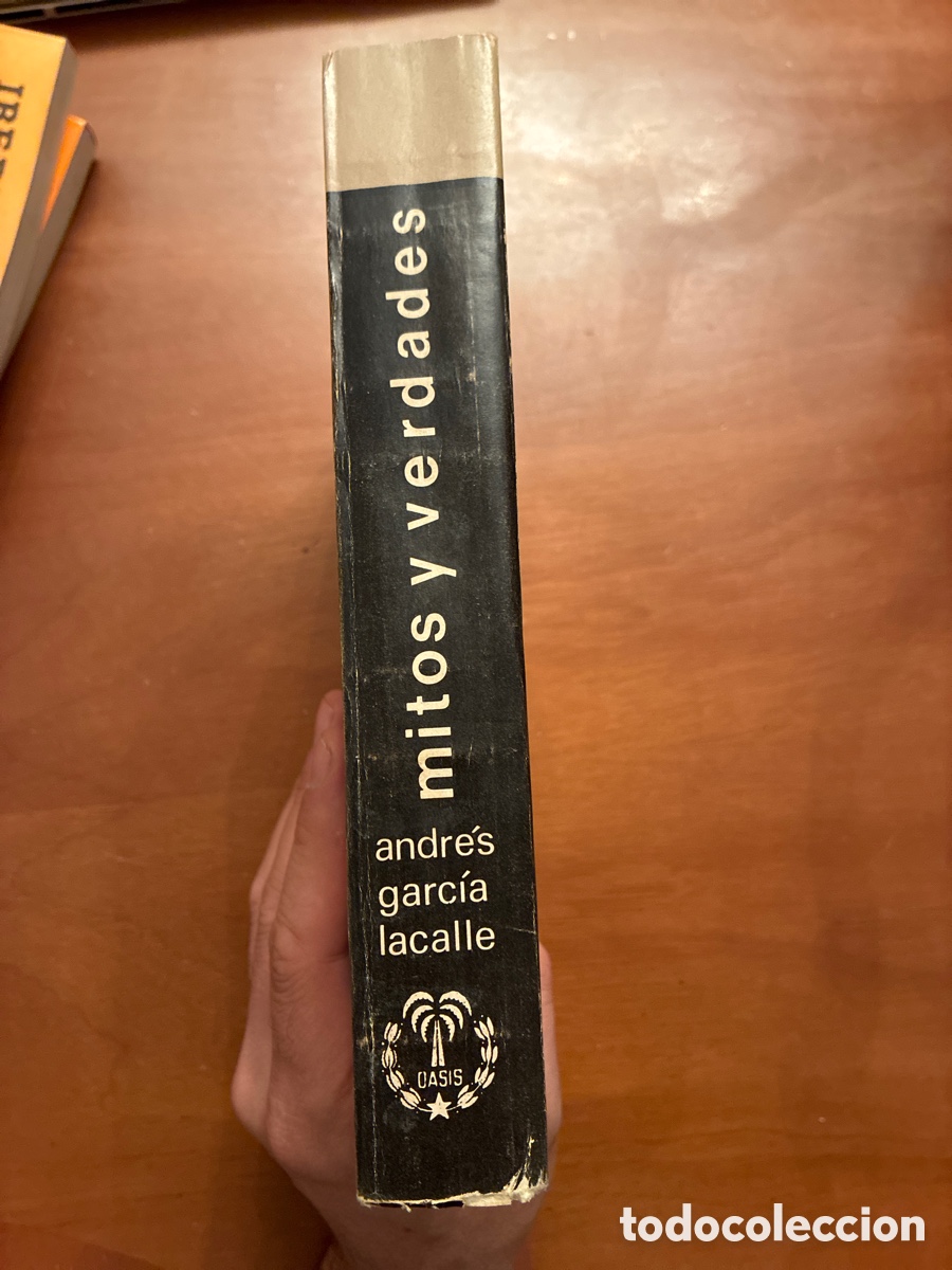 Libros de segunda mano: MITOS Y VERDADES. LA AVIACI&Oacute;N DE CAZA EN LA GUERRA ESPA&Ntilde;OLA. ANDR&Eacute;S GARC&Iacute;A LACALLE.