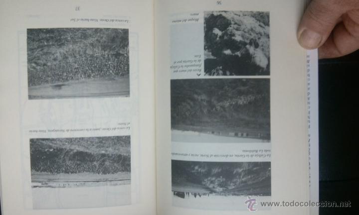 Libros de segunda mano: Le&oacute;n y las legiones. - MARTINO, Eut&iacute;mio - Foto 2