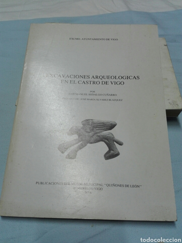 EXCAVACIONES ARQUEOLÓGICAS EN EL CASTRO DE VIGO. PUBLICACIONES QUIÑONES DE LEÓN. 1983. (Libros de Segunda Mano - Historia Antigua)