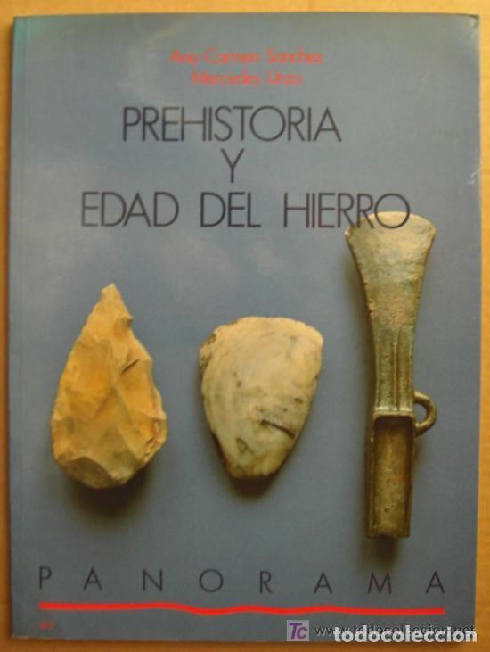 Libros de segunda mano: Prehistoria y Edad del Hierro en Navarra  Ana Carmen S&aacute;nchez Delgado y Mercedes Unzu Urmeneta
