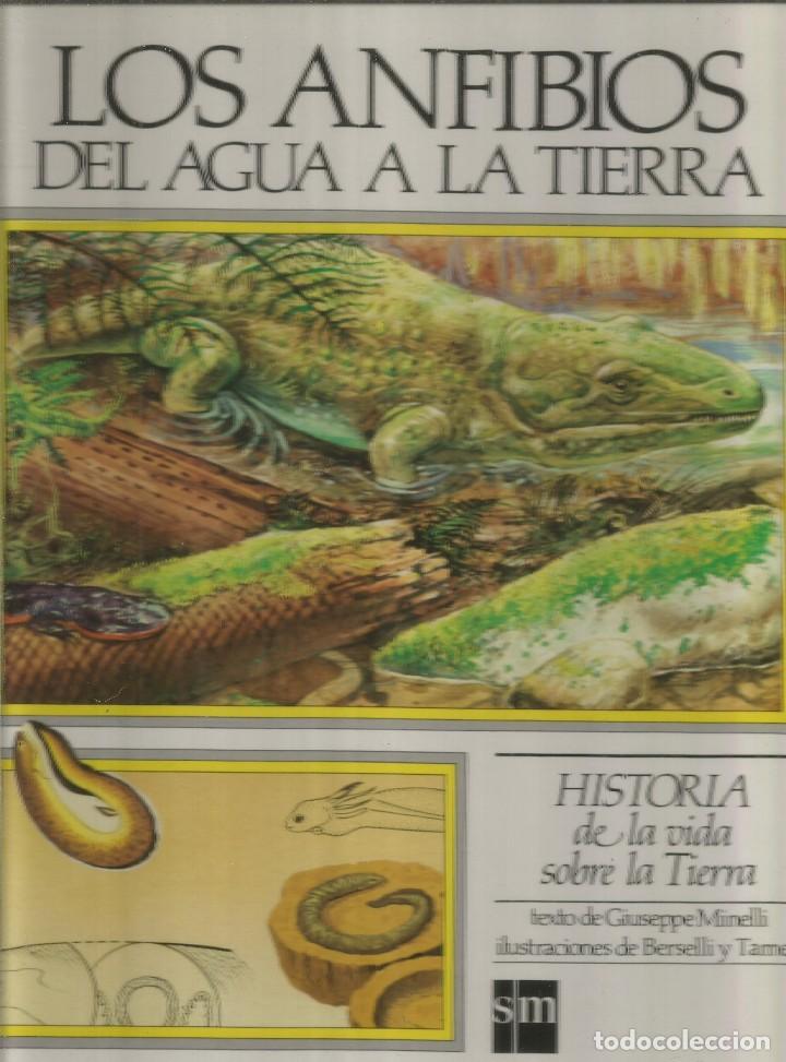 Historia De La Vida Sobre La Tierra Los Anfibi Sold Through Direct Sale 116650575